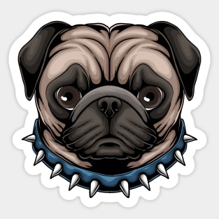 sad pug Sticker